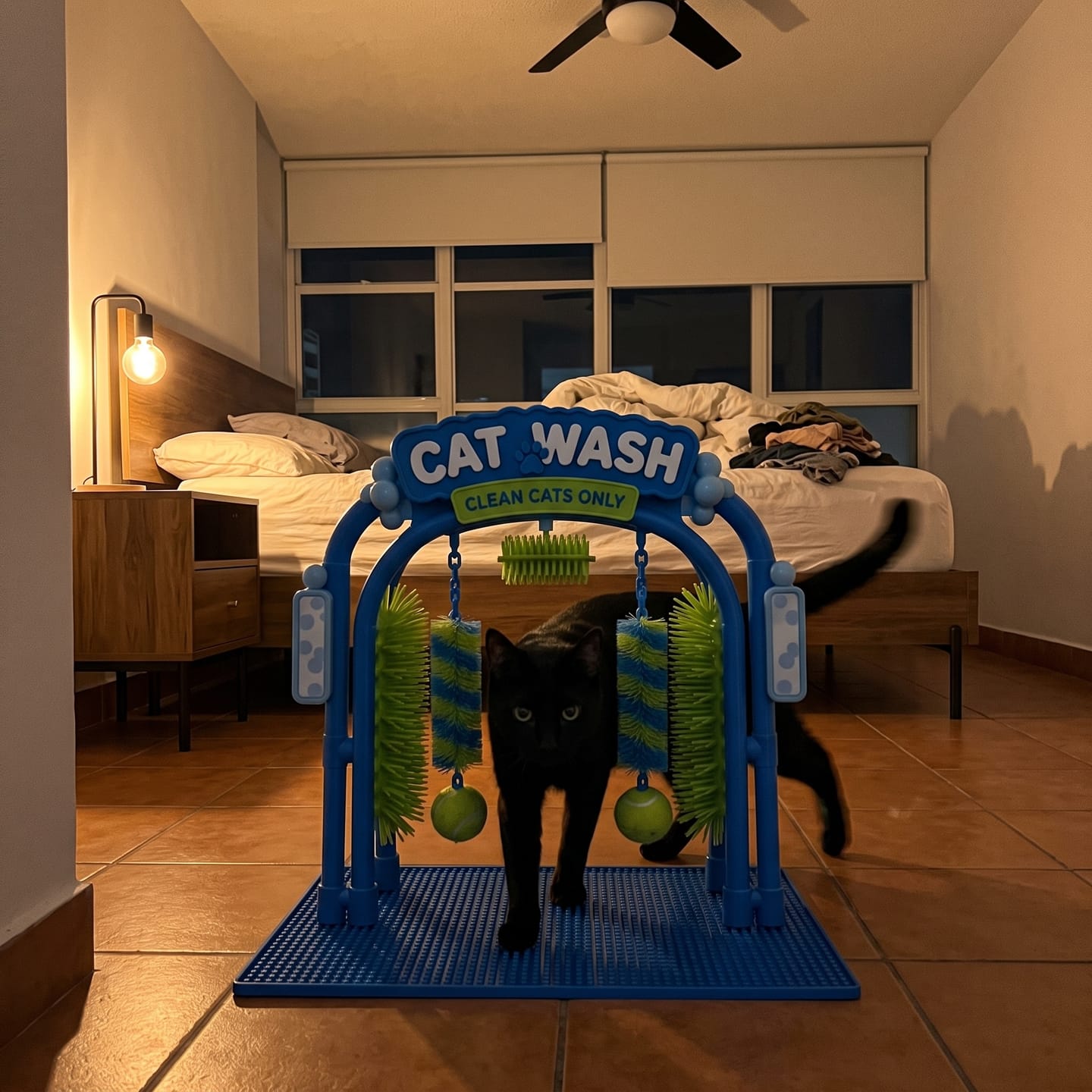 Customer photo review of Cat Spa