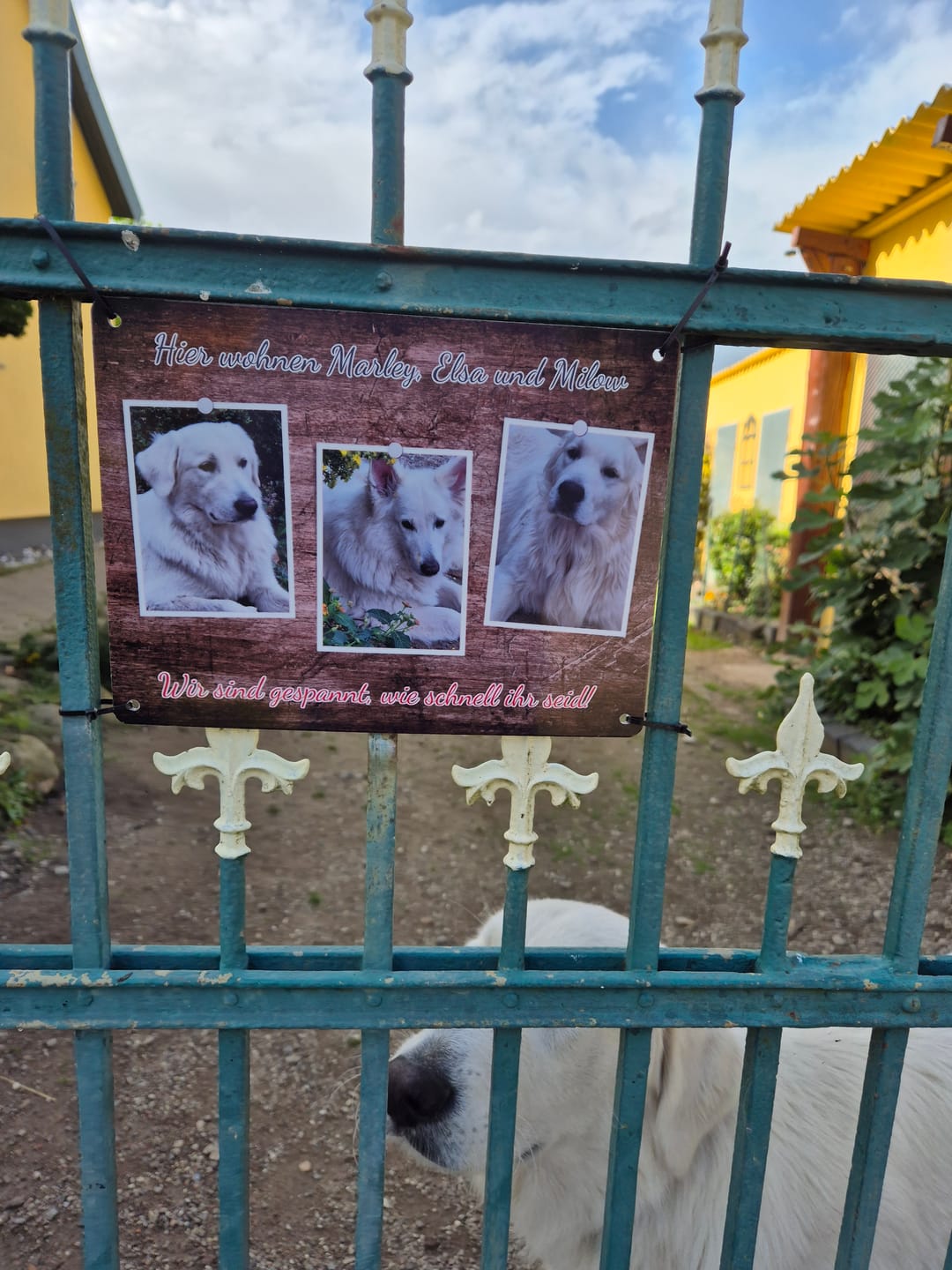 Customer photo review of Hunde-Türschild personalisiert mit Foto & Text (UV- und wetterfest)