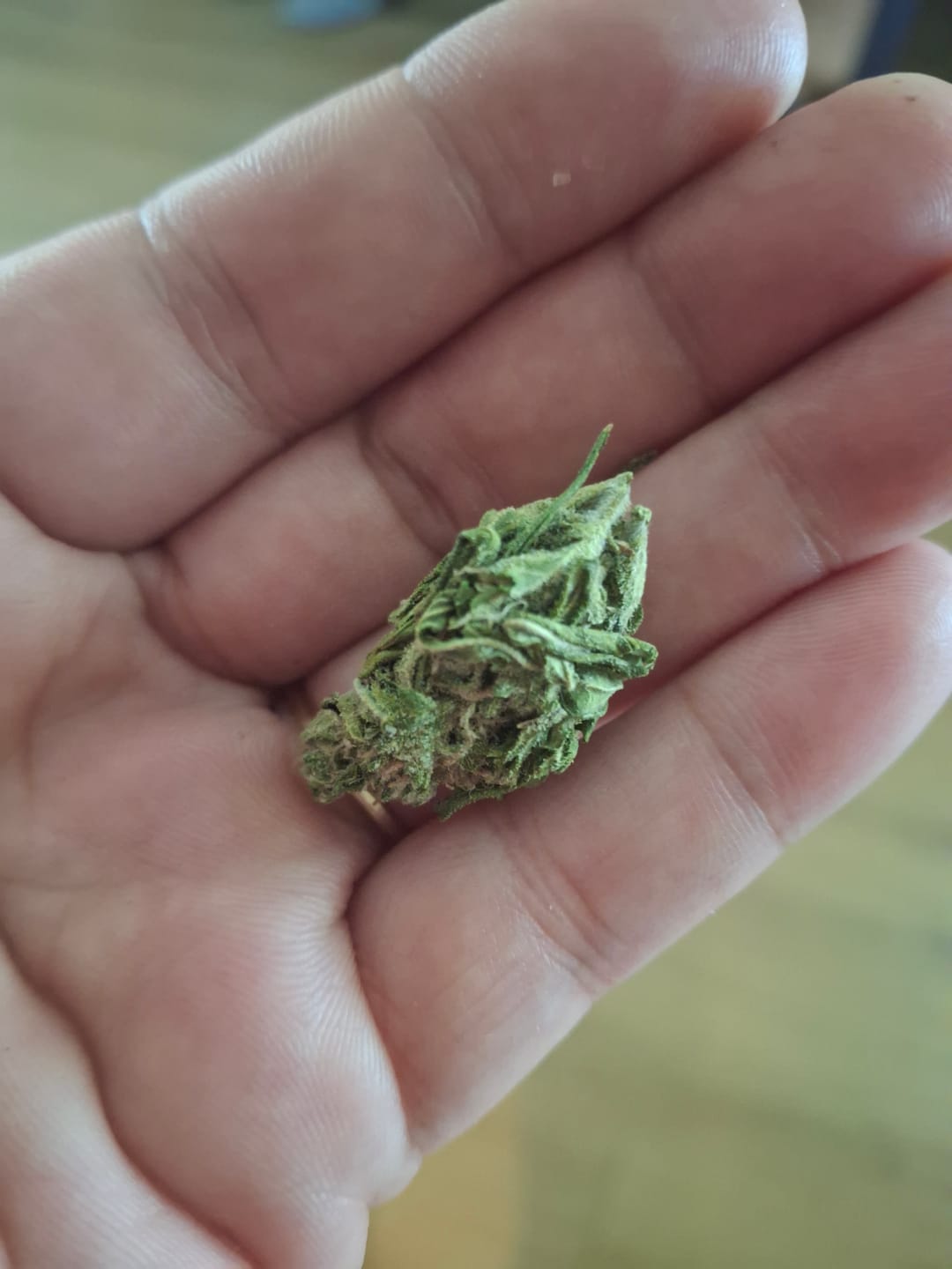 Customer photo review of Bubba OG MICROS - 28 Grams - Indica