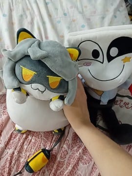 Customer photo review of V Cat Plush