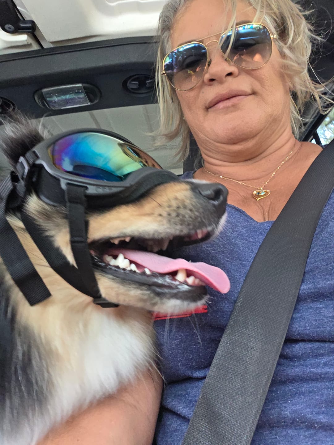Customer photo review of Team K9® Dog Goggles