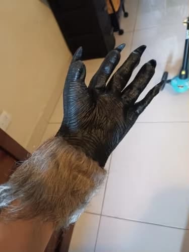 Customer photo review of Masque loup garou