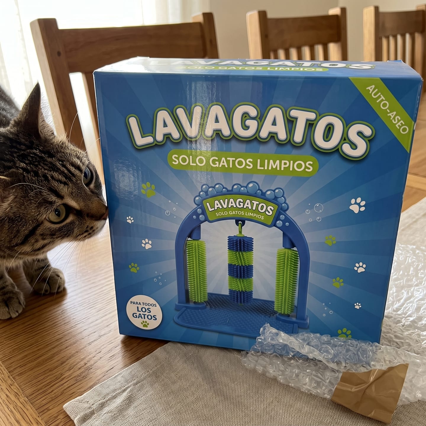 Customer photo review of Cat Spa