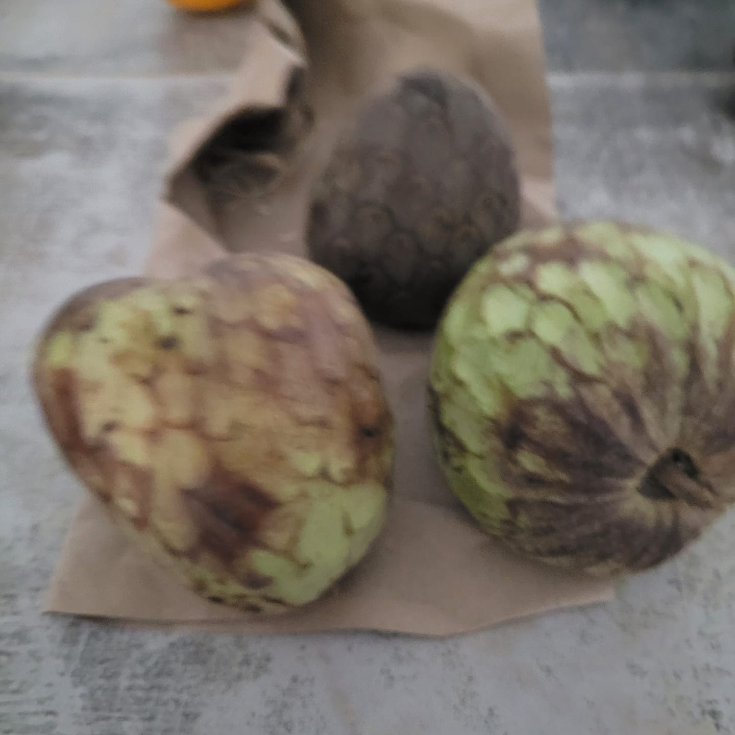 Customer photo review of Cherimoya von Julian