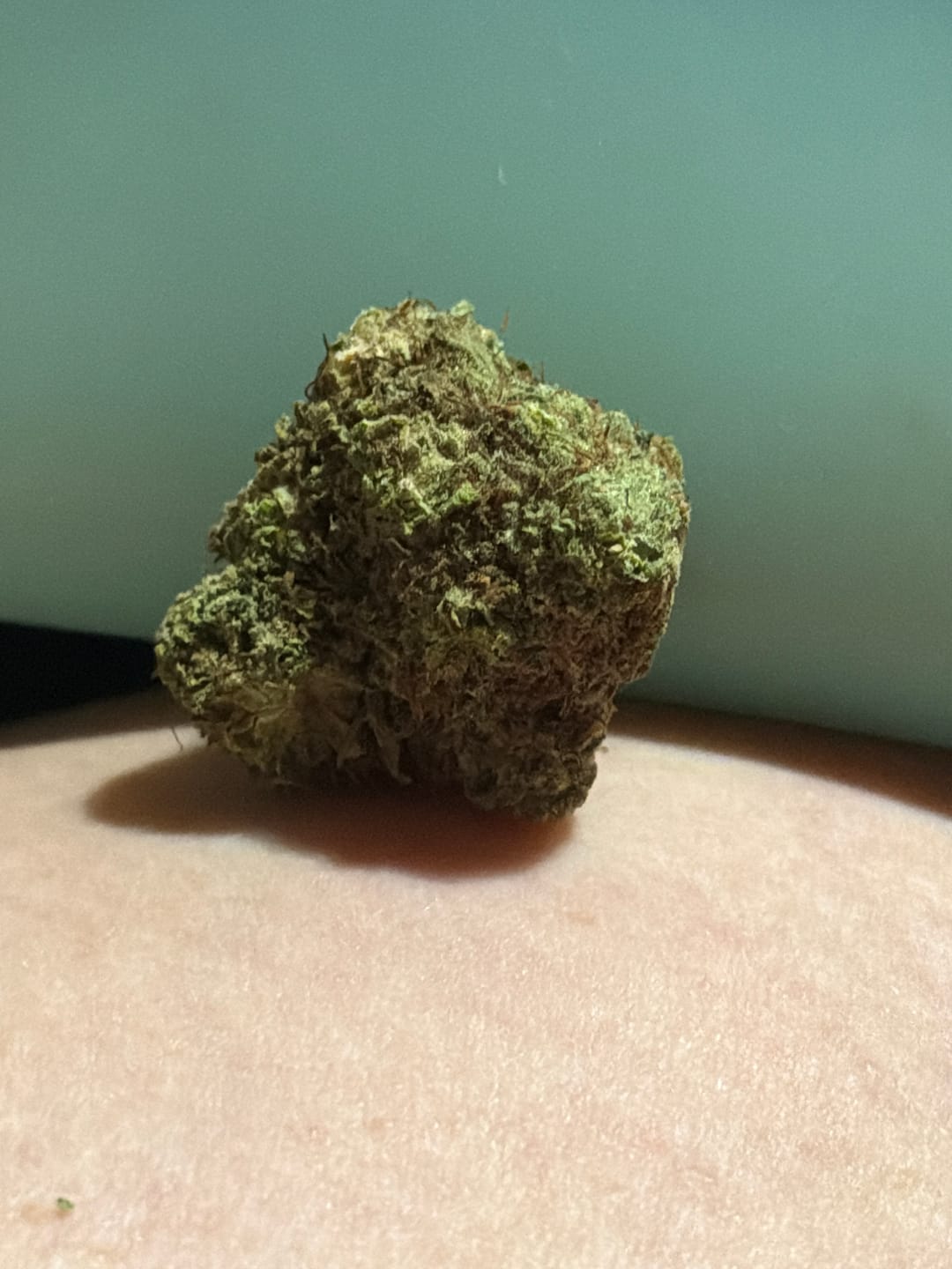 Customer photo review of Light Assist THCA Smalls