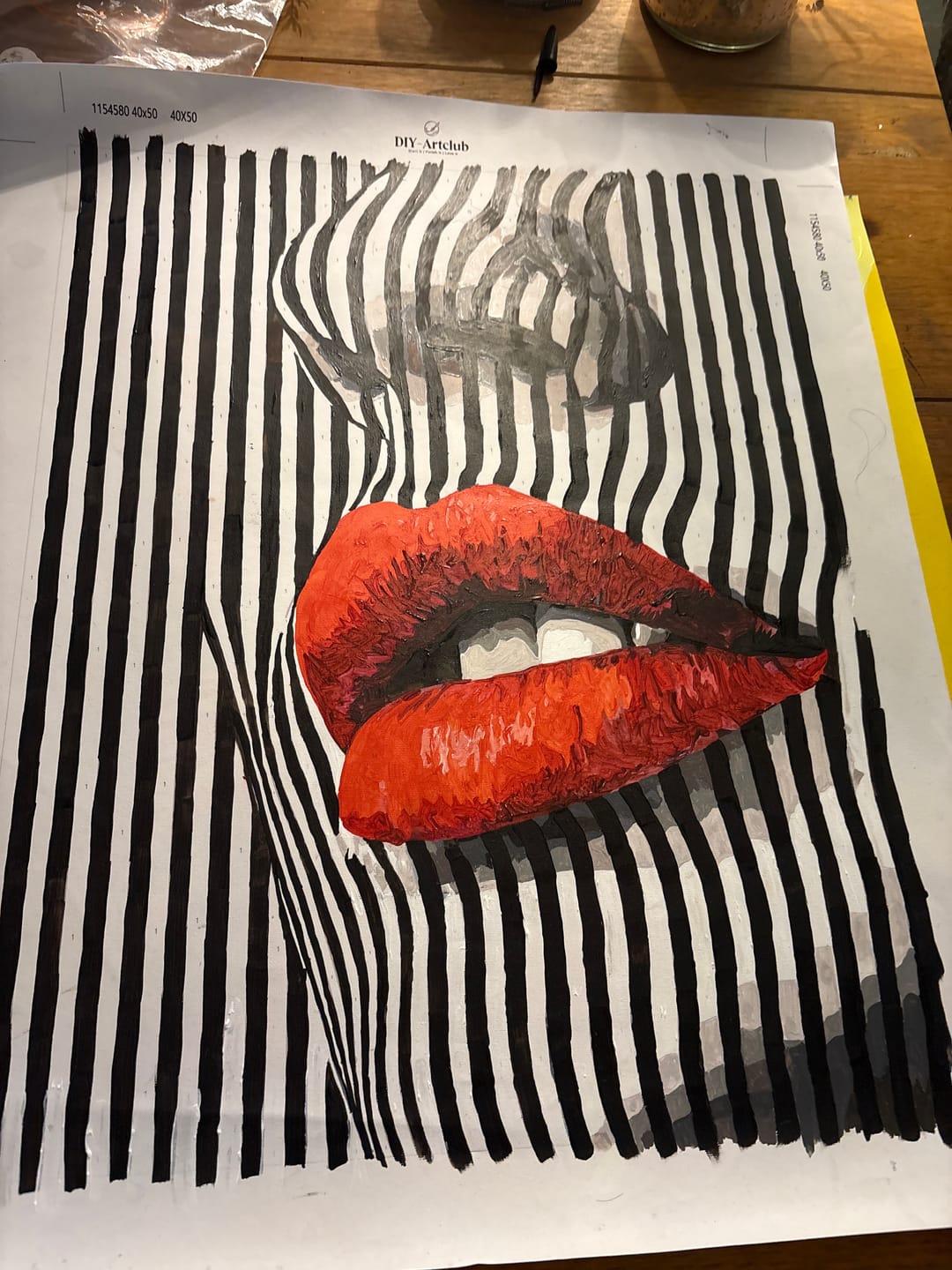 Customer photo review of Striped Seduction | Paint by Number