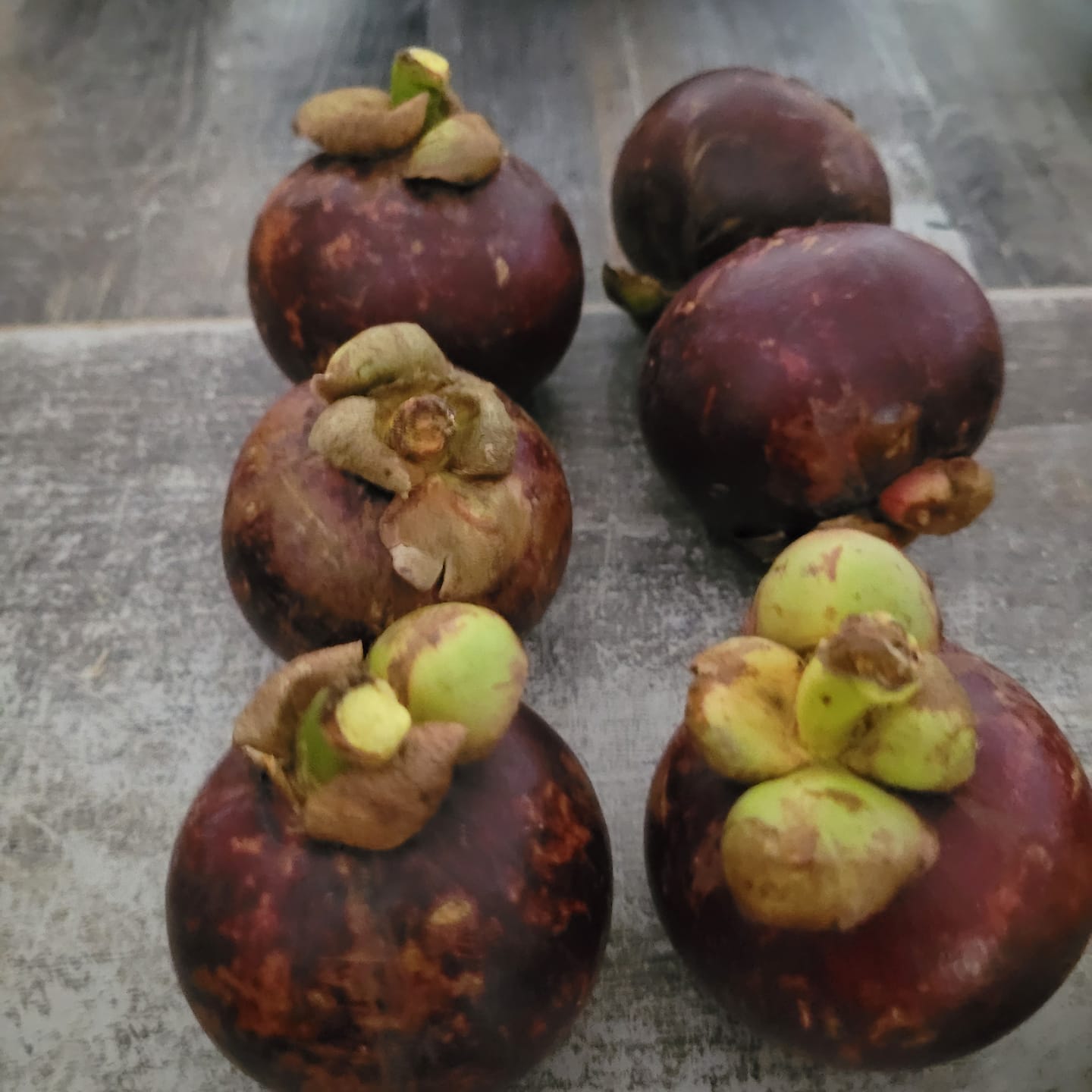 Customer photo review of Mangostan (Mangosteen) naturbelassen von Juan