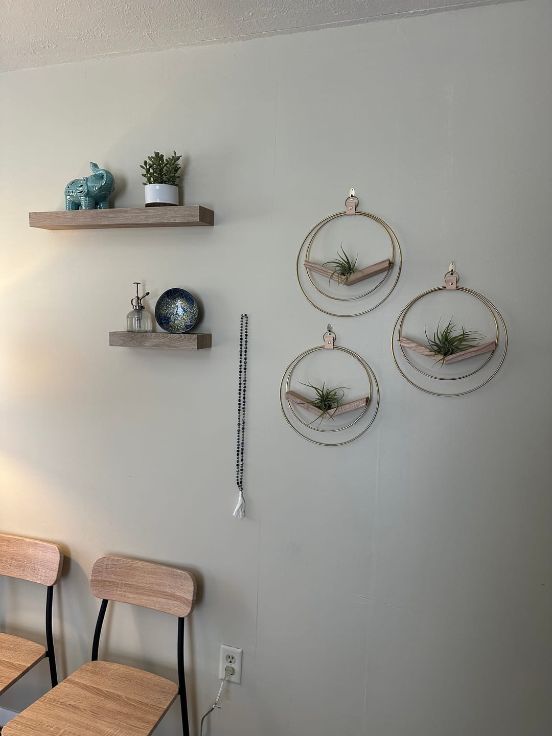 Customer photo review of Air Plant V-Hanger Trio
