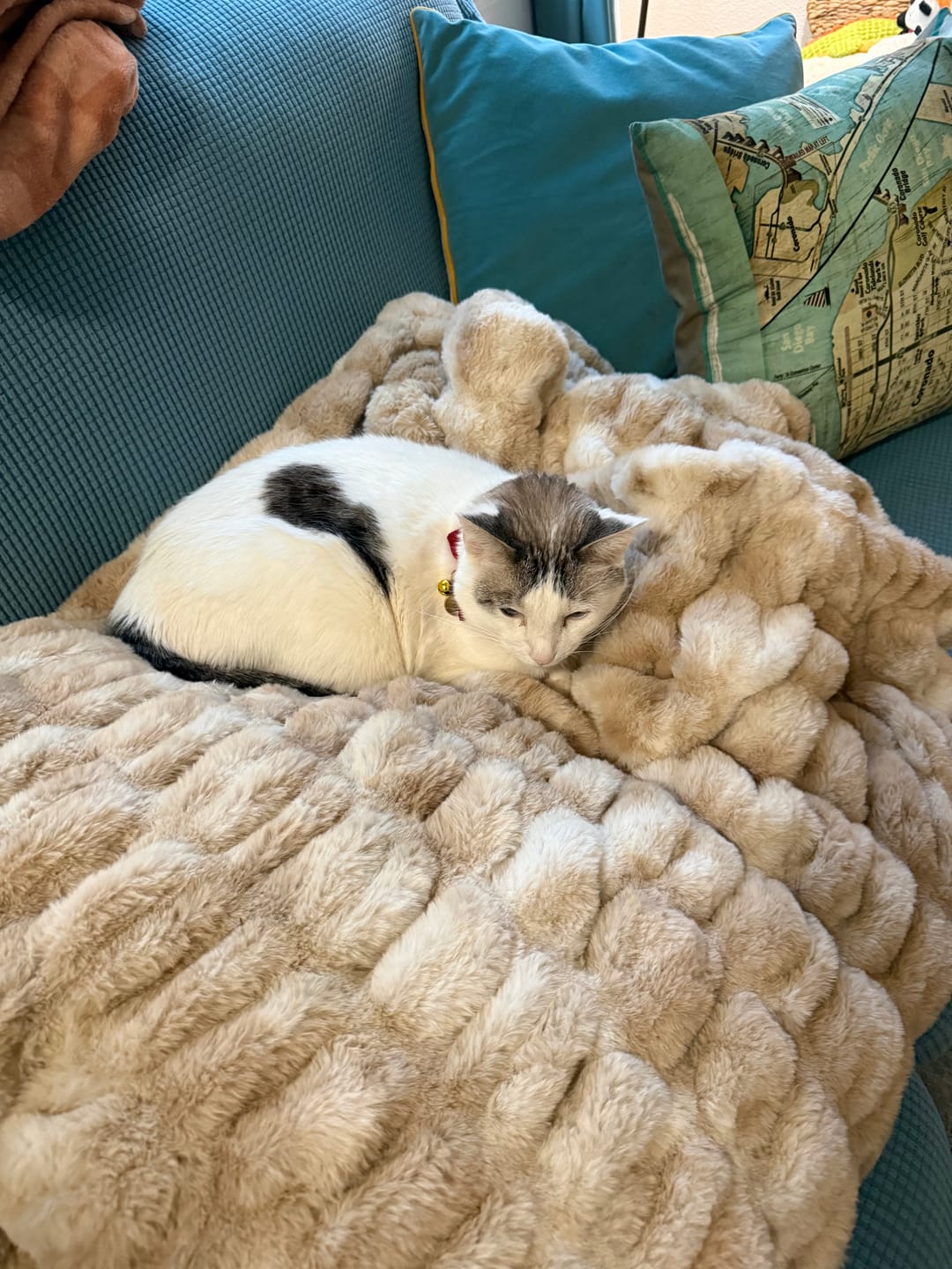Customer photo review of Hugs Cotton Candy Caramel Blanket