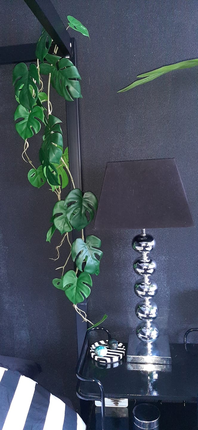 Customer photo review of 3st. Monstera Kunstslinger 120cm (Guirlande)
