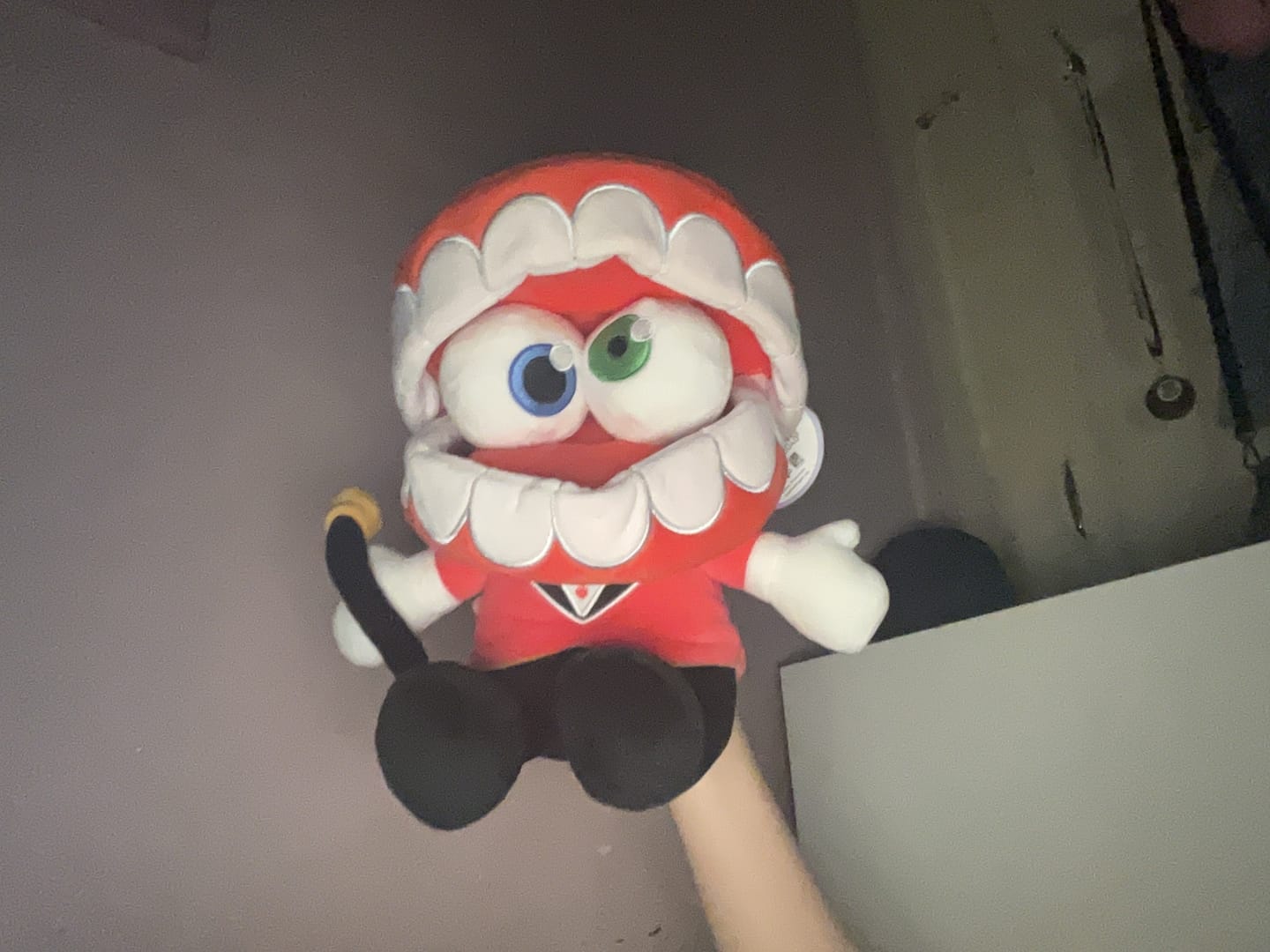 Customer photo review of Caine Plush