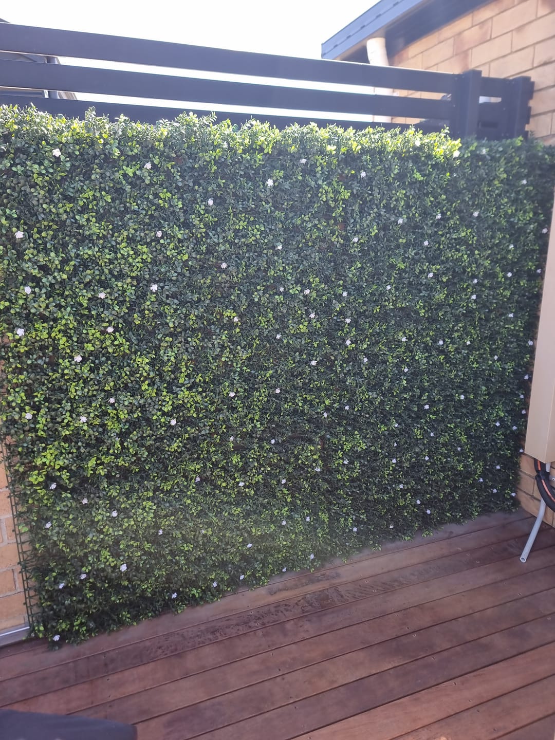 Customer photo review of Luxury Flowering Buxus Artificial Hedge Panel 1m x 1m – SGS UV Resistant