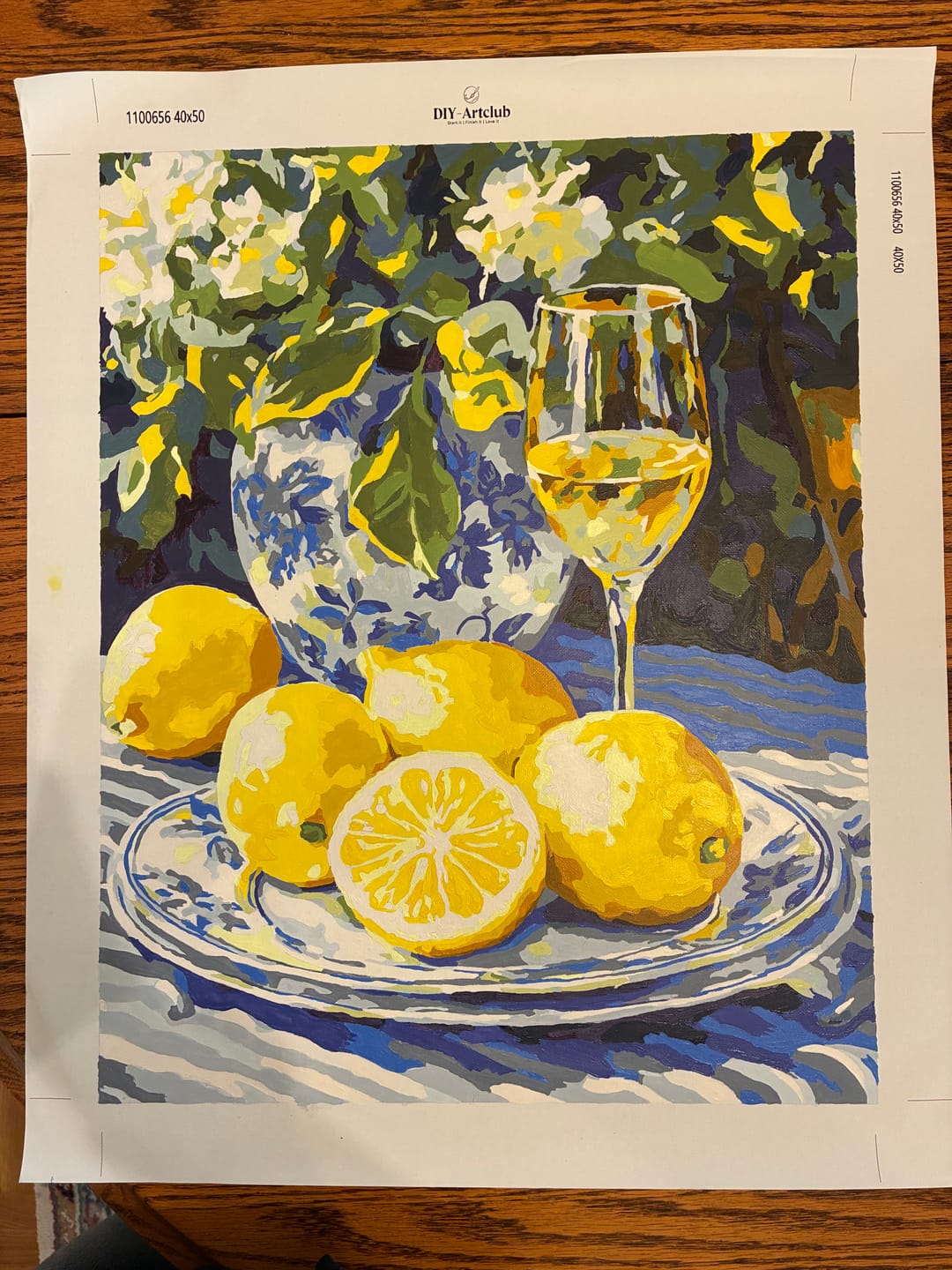 Customer photo review of Lemons and Wine | Paint by Numbers