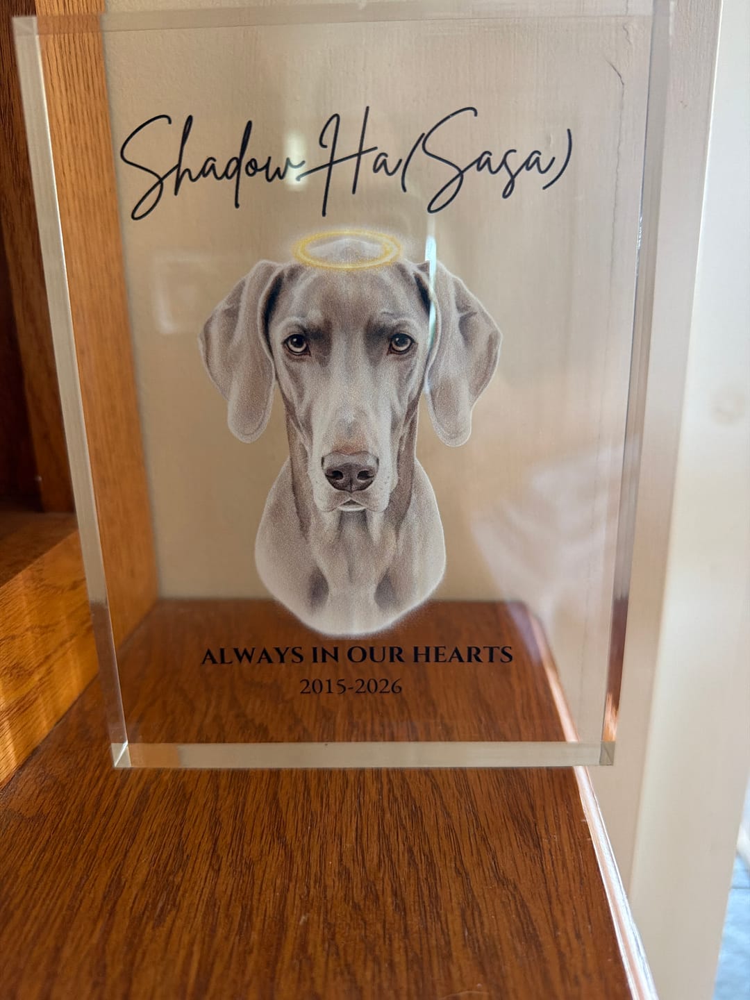 Customer photo review of The Eternal Tribute