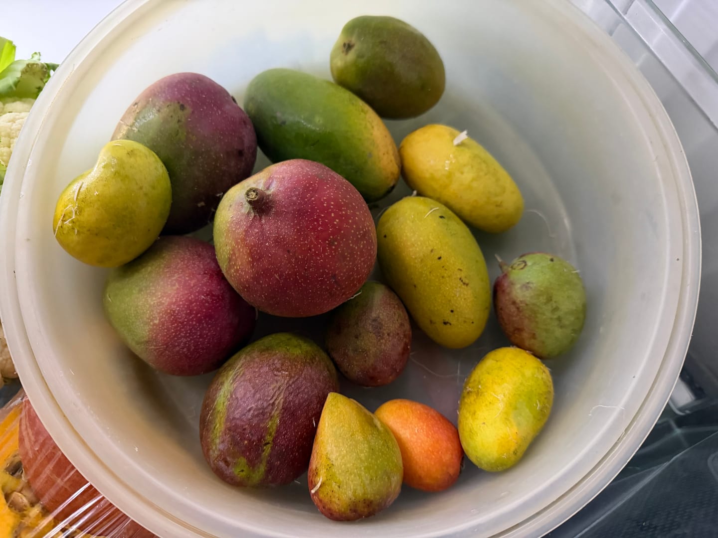 Customer photo review of Mini-Mango von Juan 3kg Retterbox %