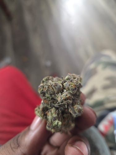Customer photo review of Hyper Za THCA Flower