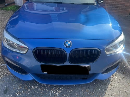 Customer photo review of Black F20 LCI Grilles