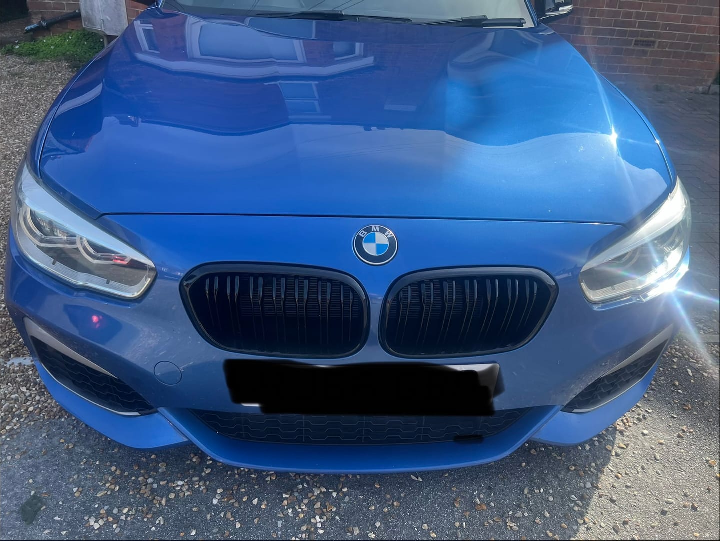 Customer photo review of Black F20 LCI Grilles