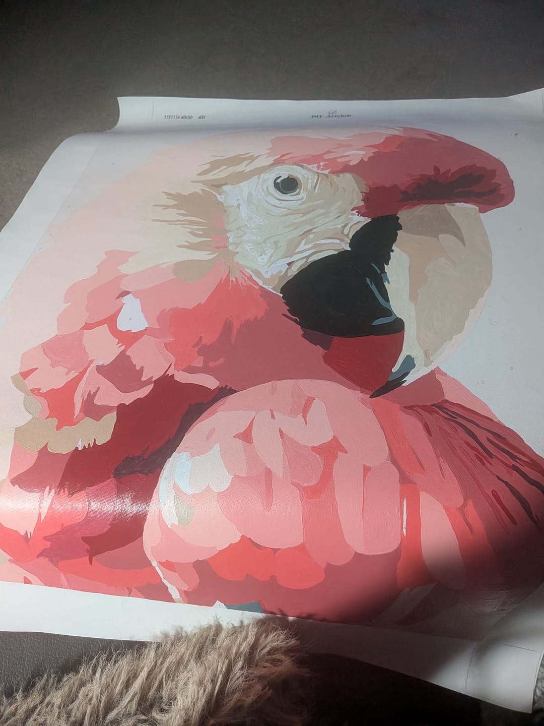 Customer photo review of Pink Ara | Paint by Number