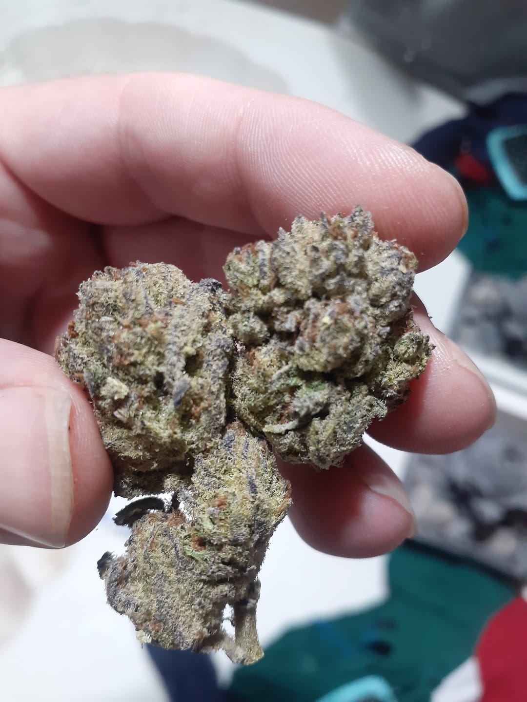 Customer photo review of Bulk THCA Micros