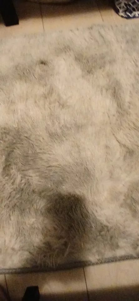 Customer photo review of FluffyDye Area Rug