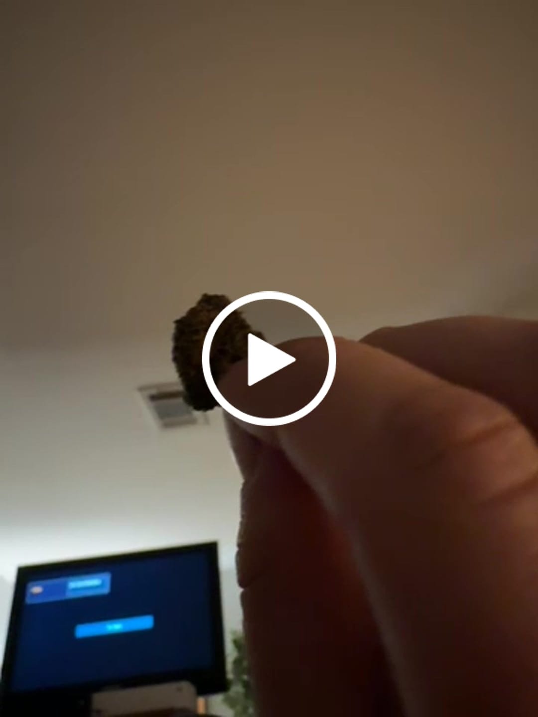 Customer video review of Snowing Candy IceFlash -THCa Flower