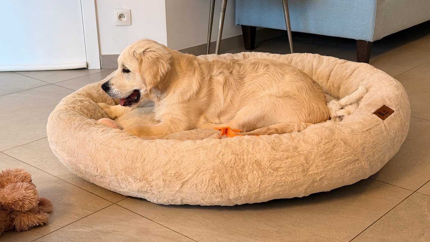 Customer photo review of Pet Perfect Hoes (ENKEL HOES) voor Orthopedische Donutmand - ZONDER VULLING