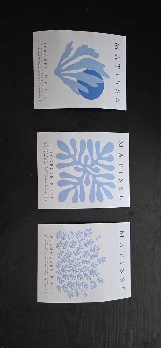 Customer photo review of Light Blue Henri Matisse Exhibition Art Set