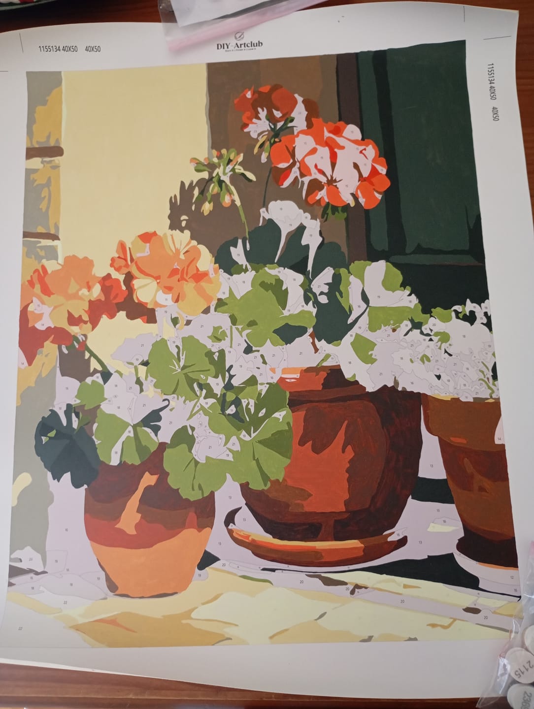Customer photo review of Terracotta Geraniums | Paint by Number