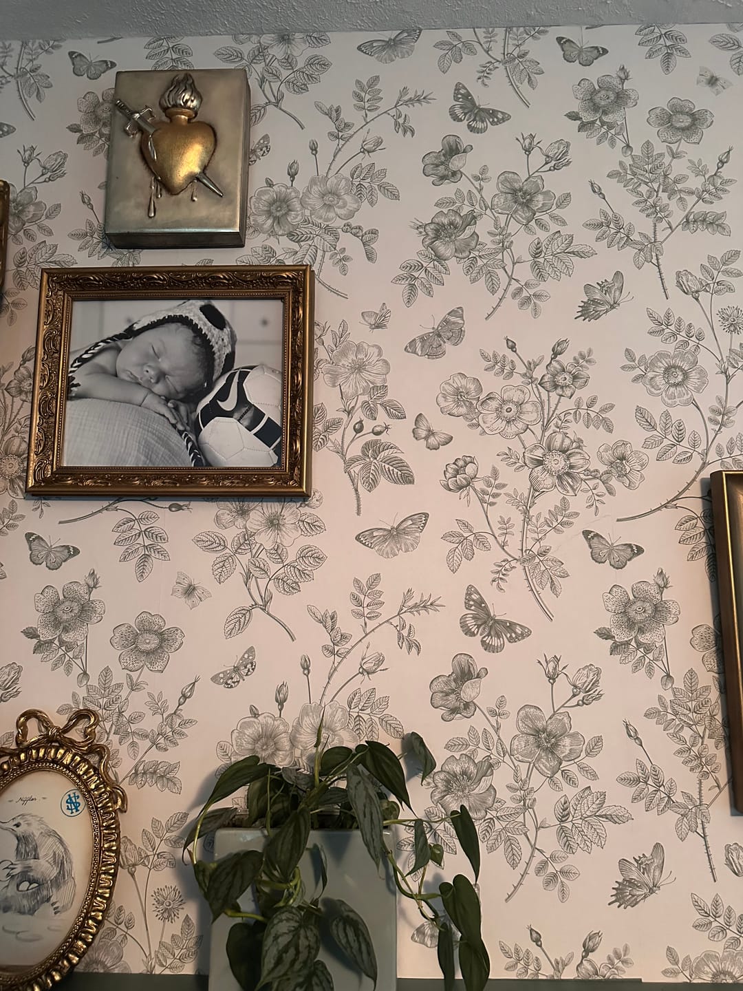 Customer photo review of Alice - Vintage Classic Roses & Butterflies Wallpaper