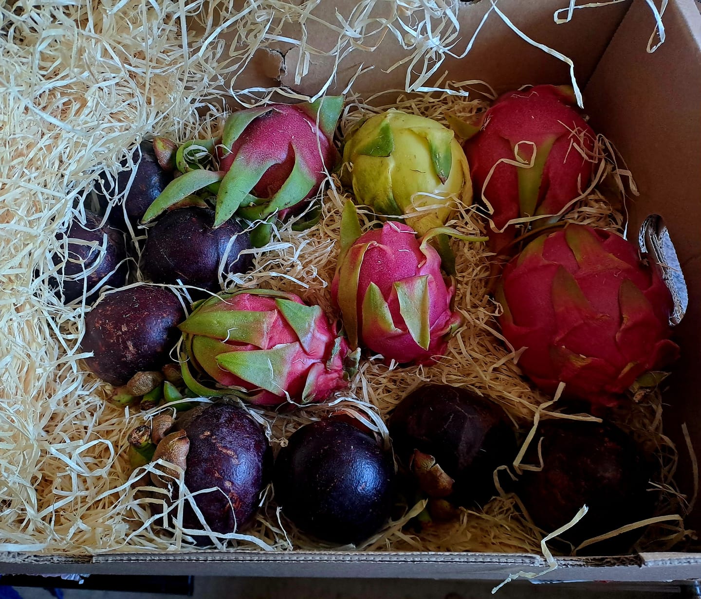 Customer photo review of Drachenfrucht bunter Mix Bio von Salvador