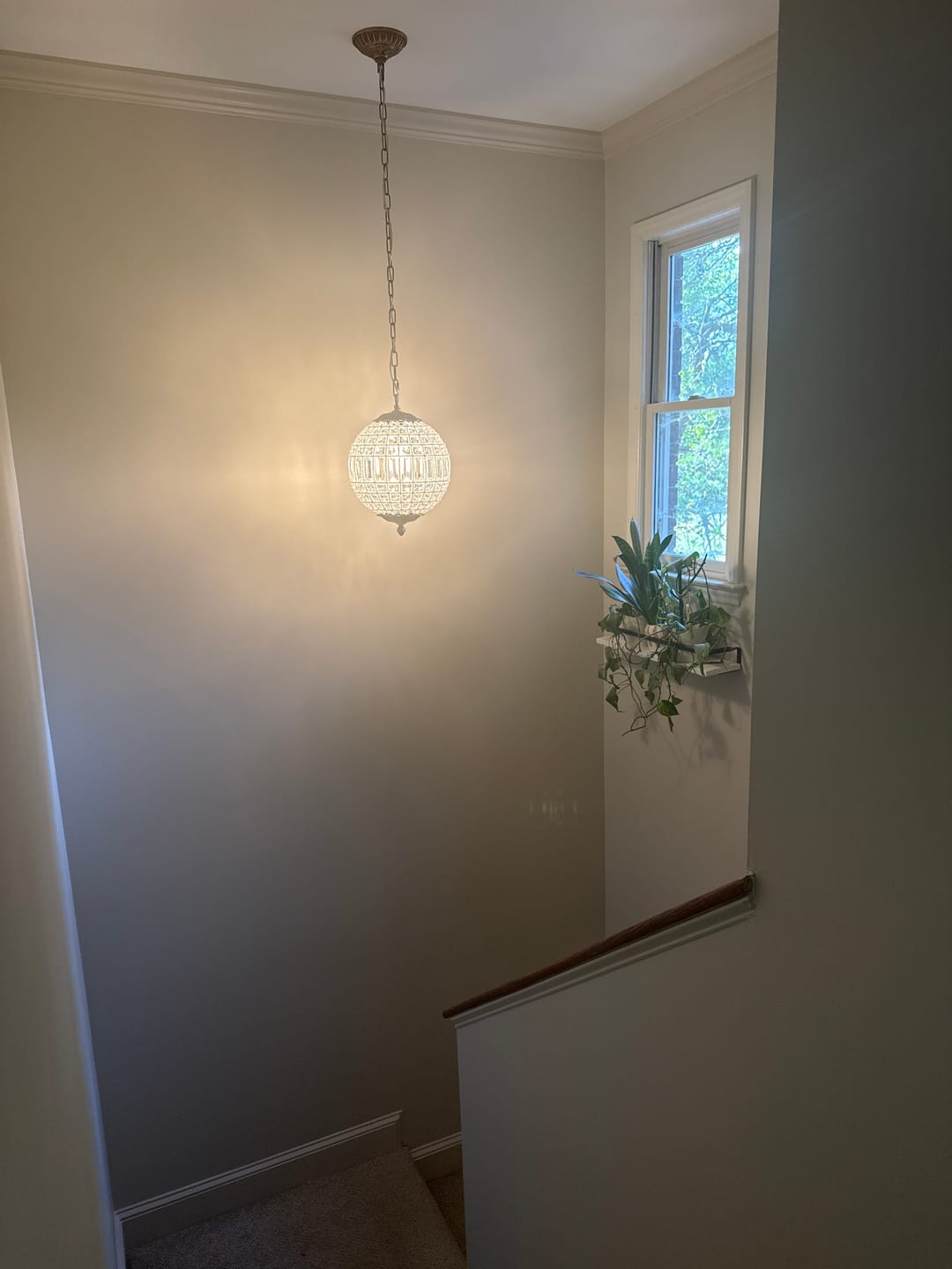 Customer photo review of French Antique Brass Crystal Globe Chandelier