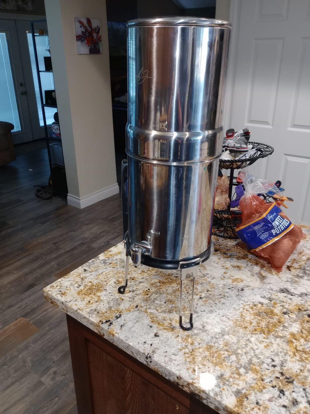Customer photo review of Dual Carbon Platinum Gravity-Fed Water Filter System