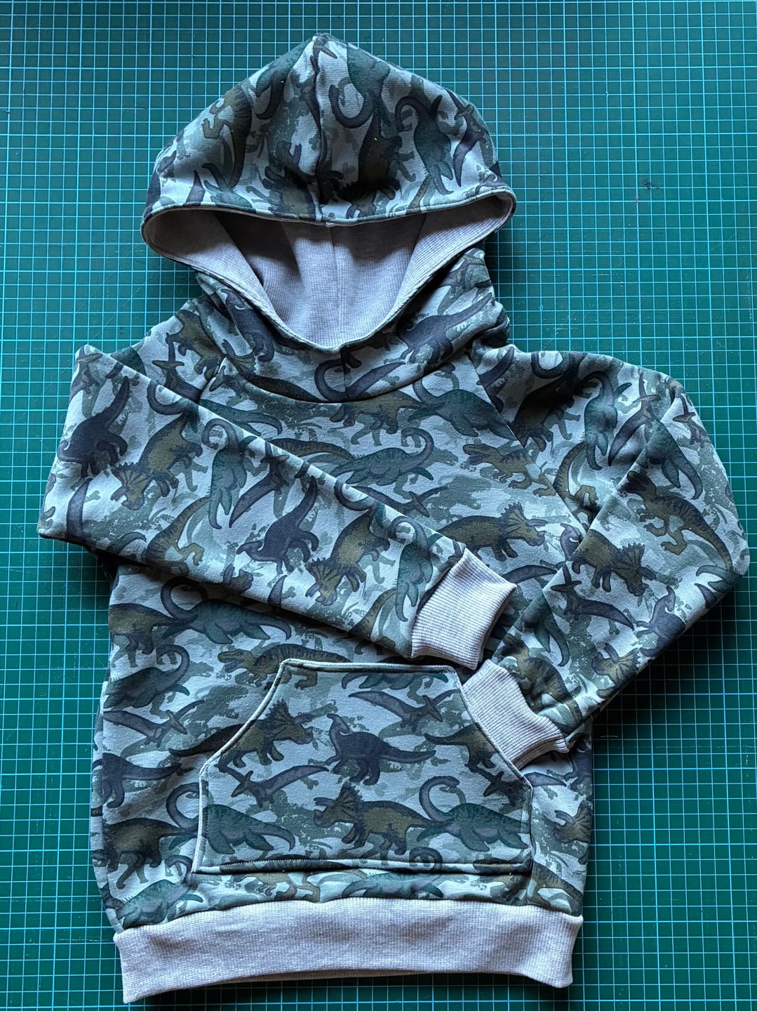 Customer photo review of Dinosaurs Sweatshirt Fabric