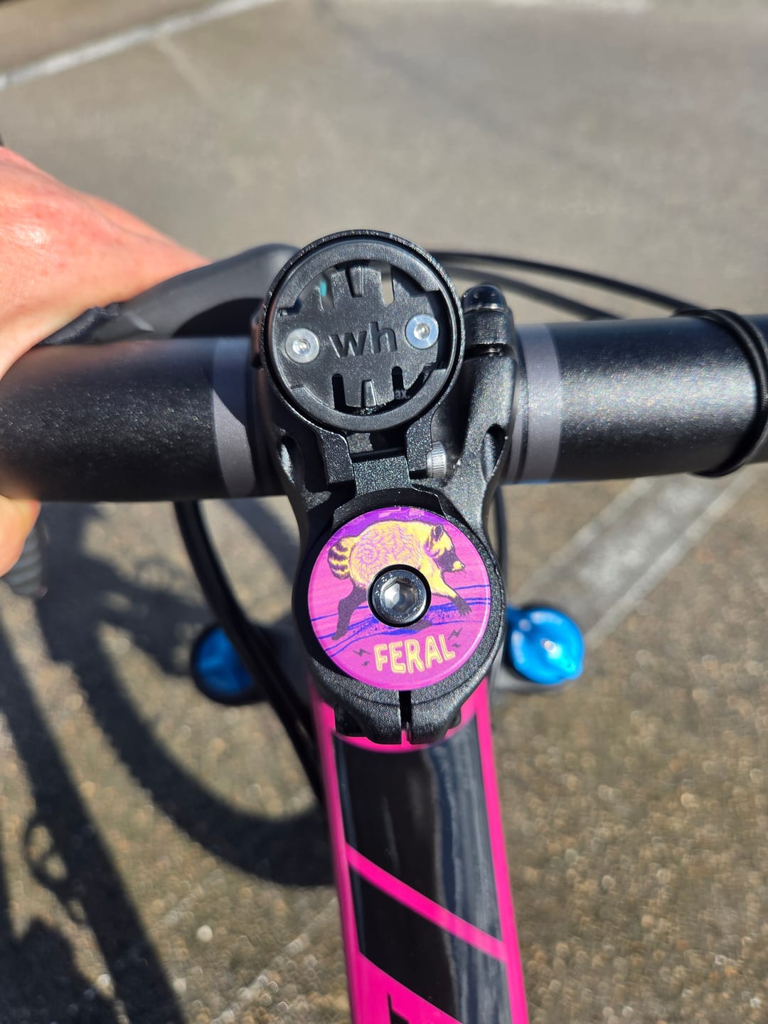 Customer photo review of Jimothy Topcap