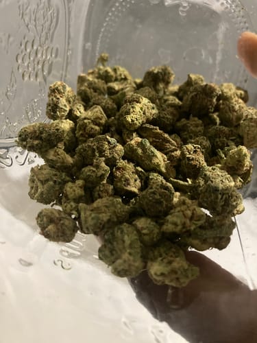 Customer's Grape Cream Cake indoor smalls, a large pile of compact, green cannabis buds in a clear jar.