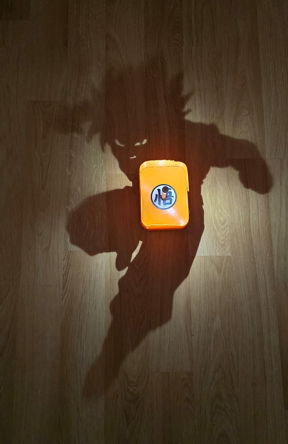 Customer photo review of SHADORA - Shadow Projection Lamp