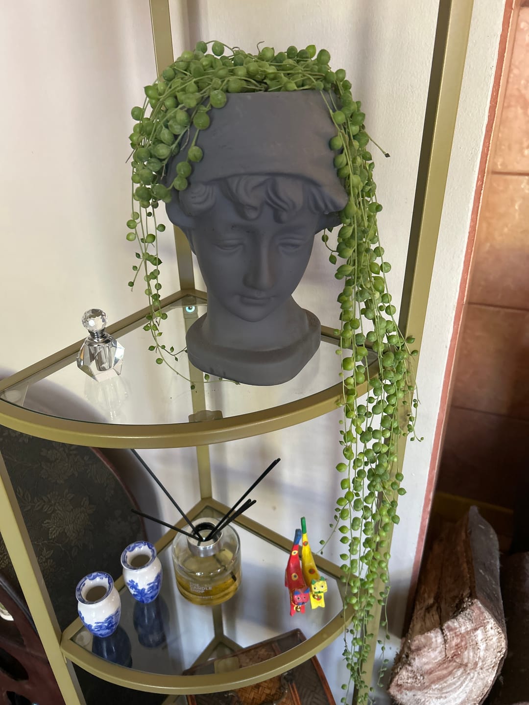 Customer photo review of Maceta Cara Gris
