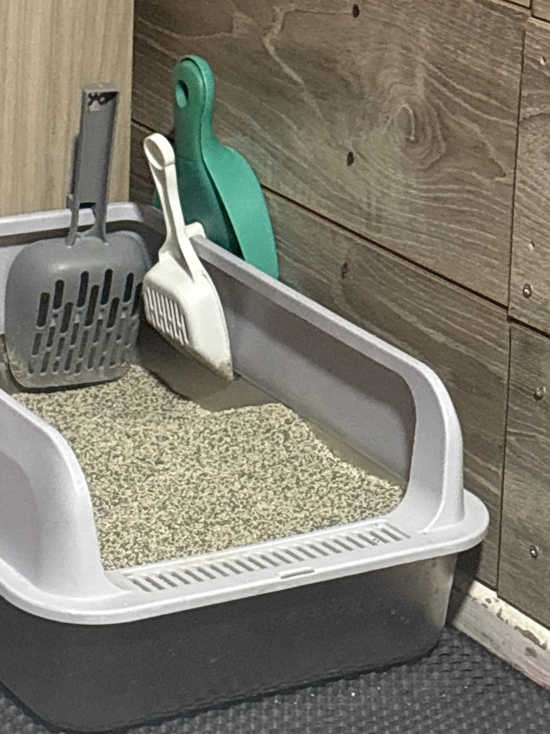 Customer photo review of Arena Minino 48kg - Carbón Activo