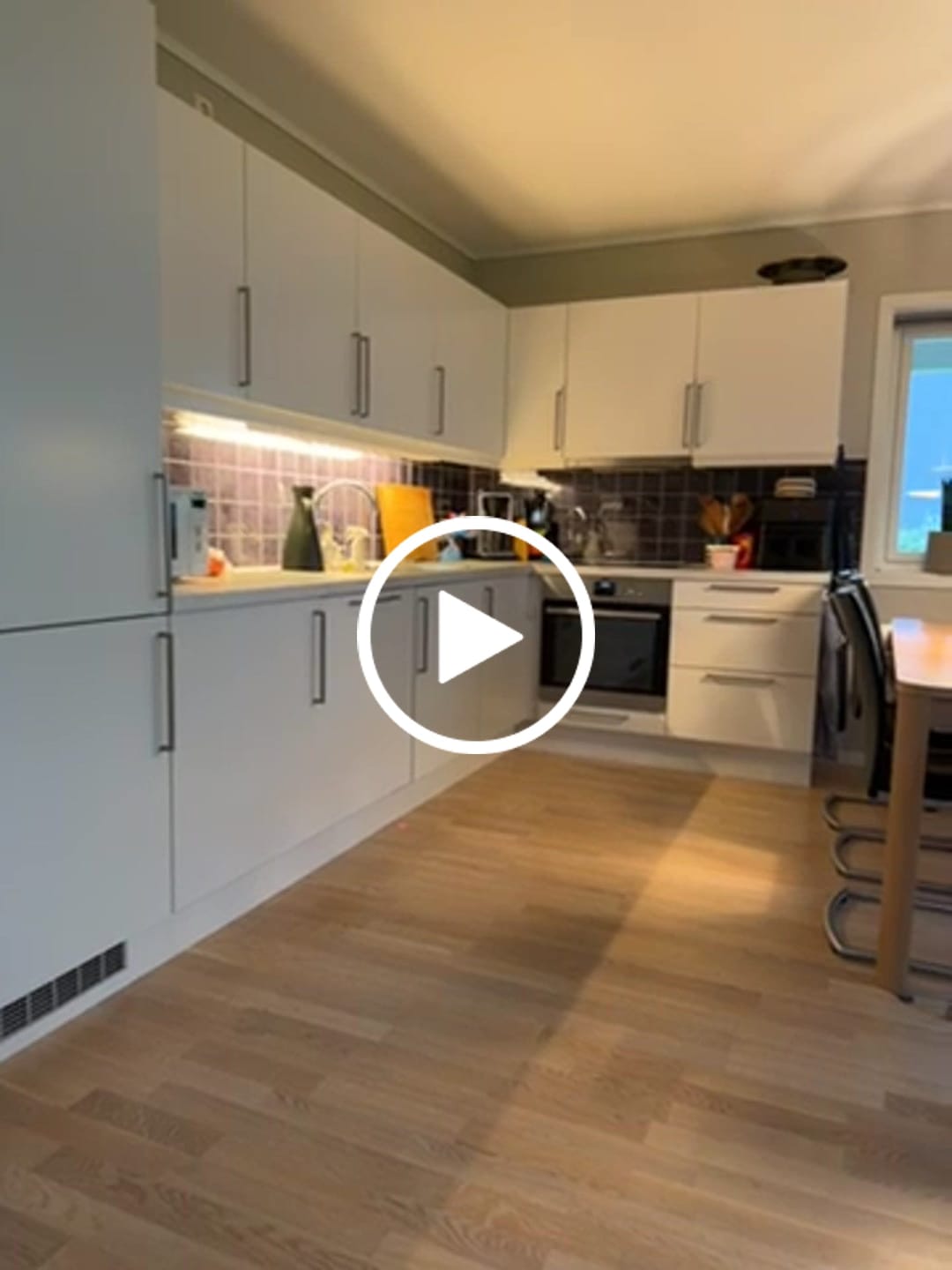 Customer video review of Mr. Plant Eucalyptus 60 cm