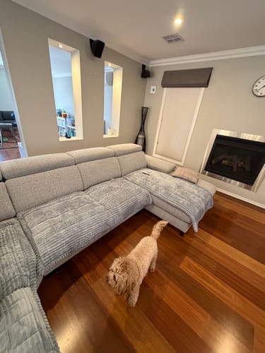 Customer photo review of Cosy Couch - Couch Cover