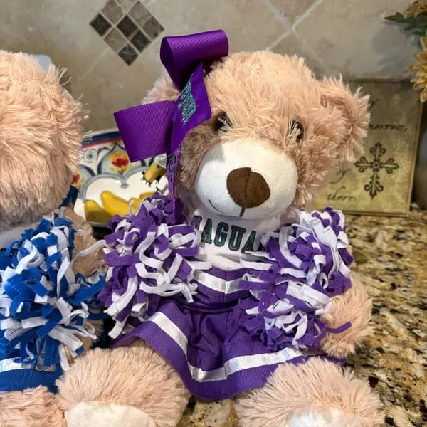Customer photo review of Cute Cheer Bear Gift Custom Embroidered Uniform & Bow Sport Game Day Mascot