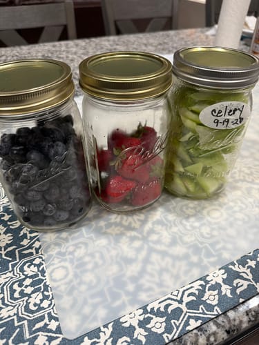 Customer's Mason Genie Vacuum Sealer Kit used to seal glass jars containing blueberries, strawberries, and celery.