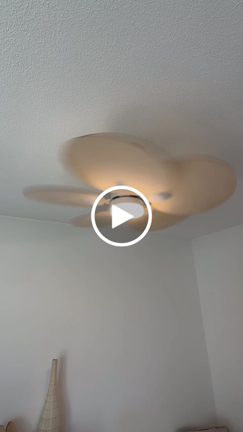 Customer video review of Lotus | Ventilateur de plafond – Ø 105 cm