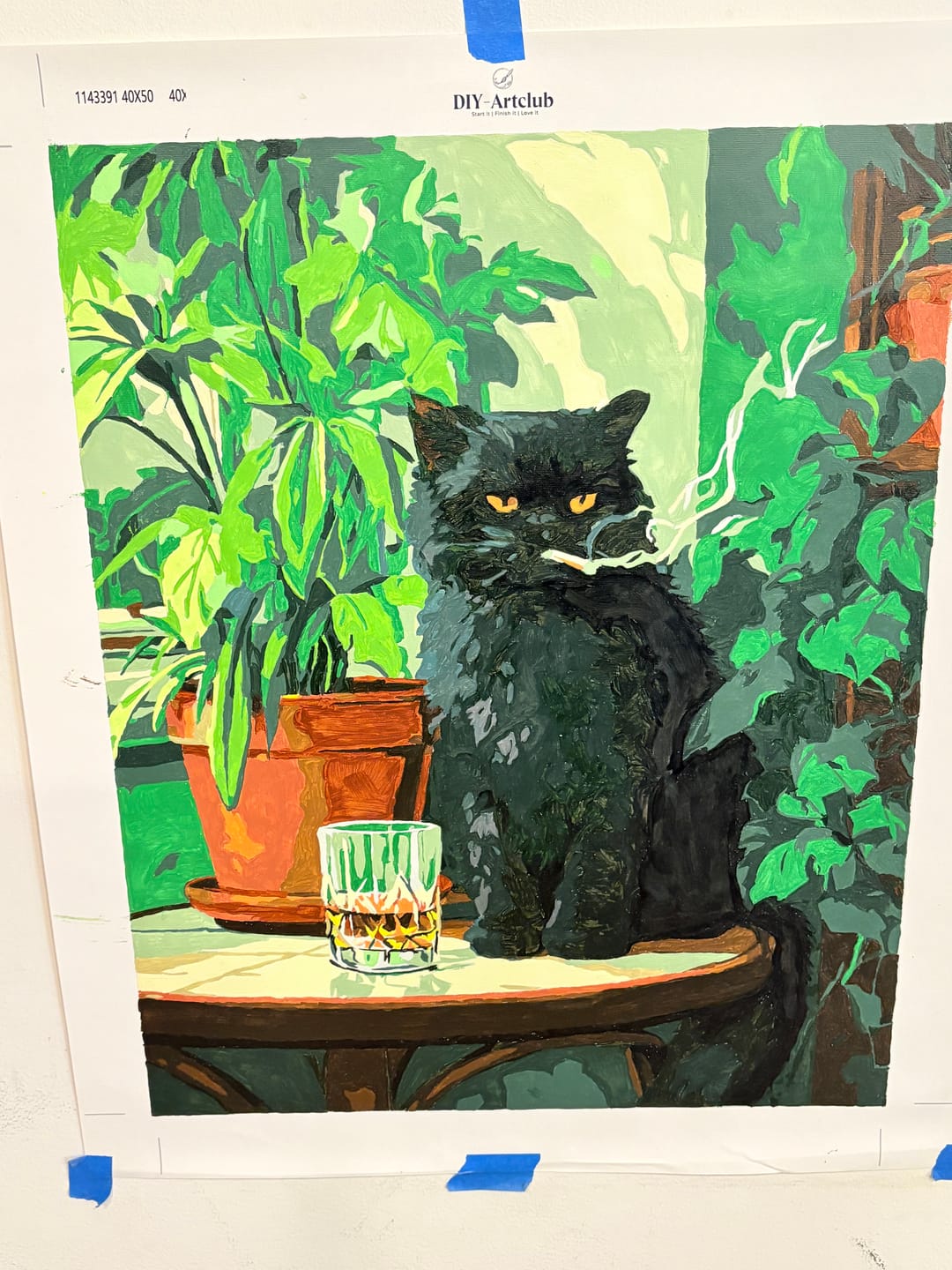 Customer photo review of Grumpy cat | Paint by Number