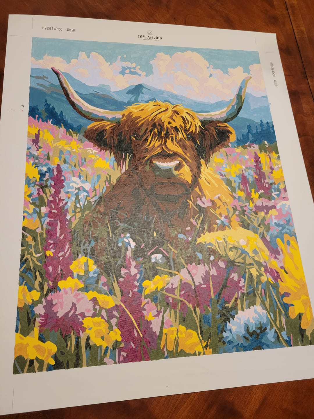 Customer photo review of Highland in Bloom | Paint by Number