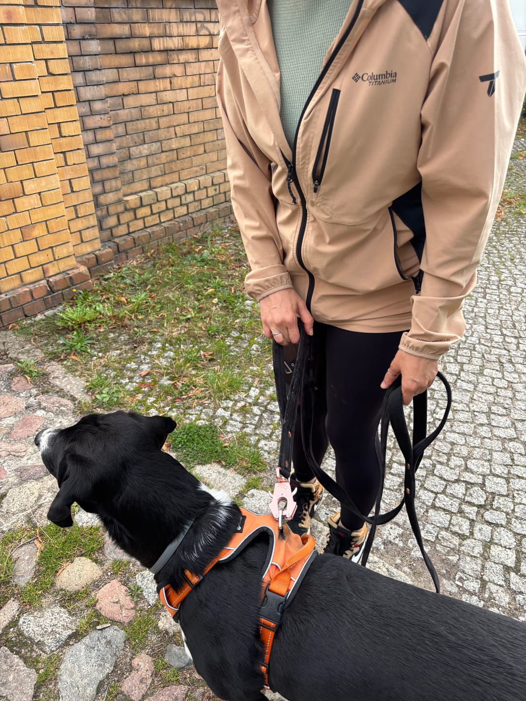 Customer photo review of Guard Leash Rose Edition Svart - Väktarkoppel med extra handtag