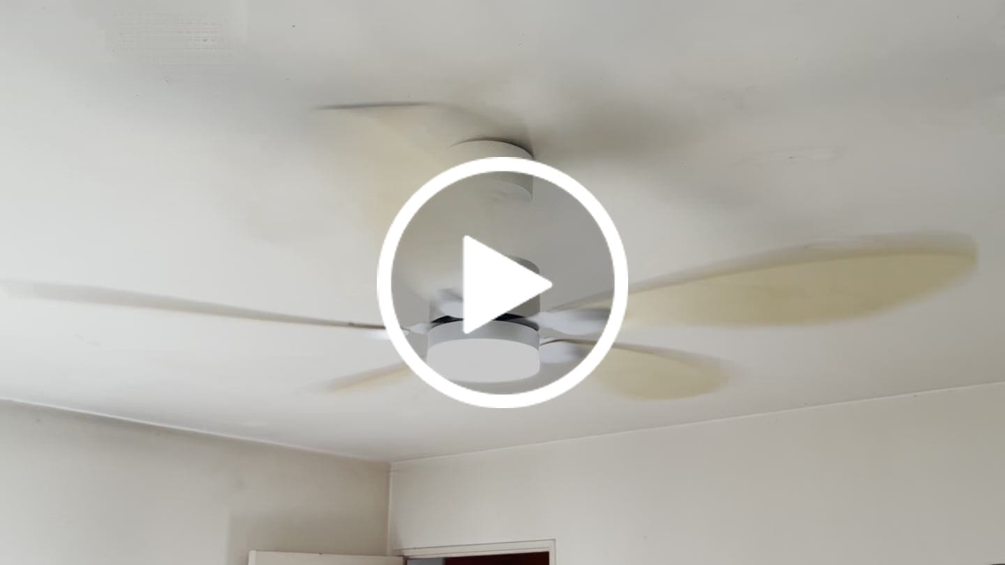 Customer video review of Libellule teinté Chêne | Ventilateur de plafond