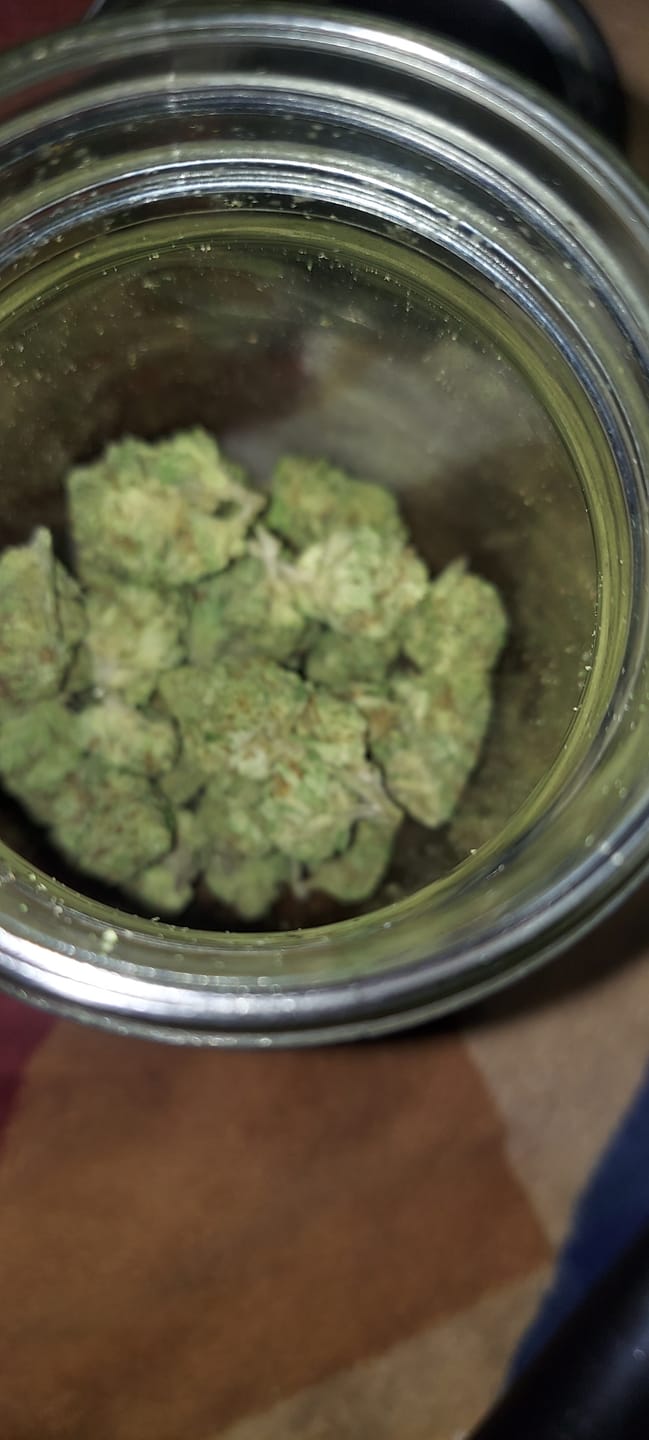 Customer photo review of Strawberry Cough THCA Flower