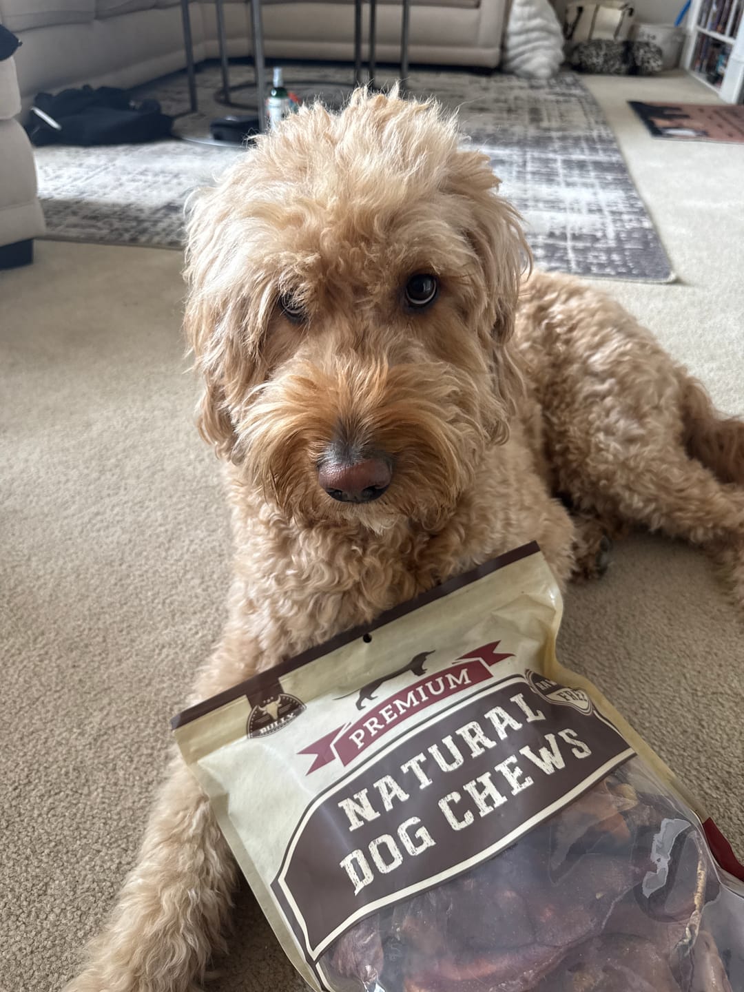Customer photo review of Whole Pig Ear